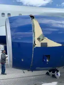 Utah Jazz's Boeing 757 forced to emergency landing after bird strike