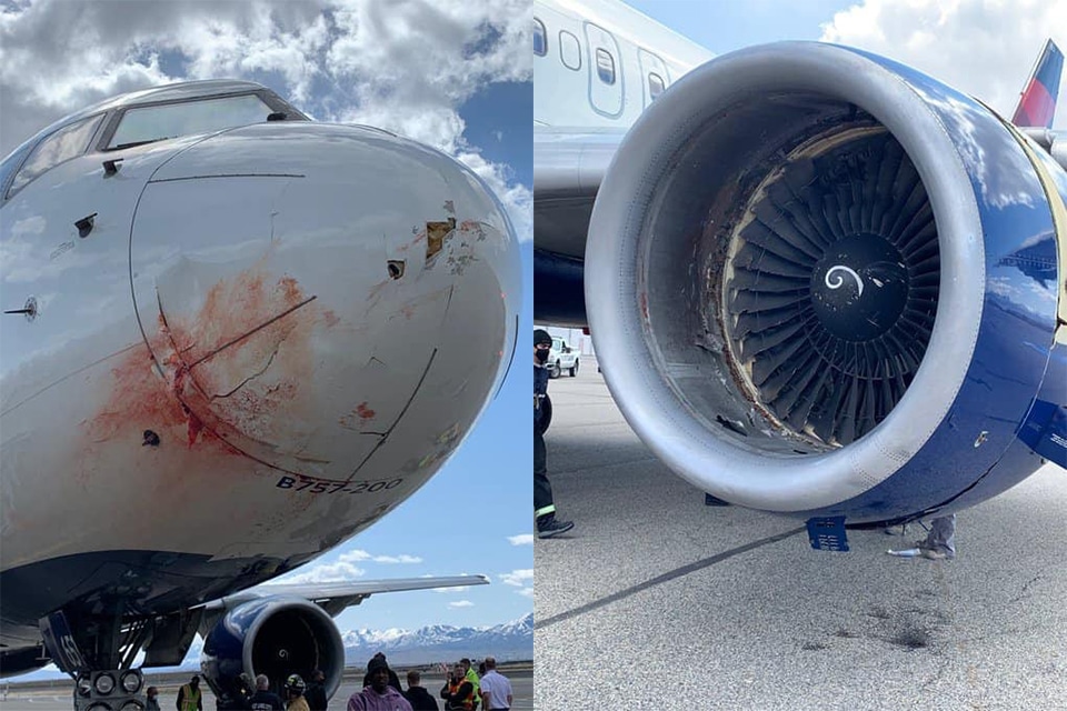 Utah Jazz's Boeing 757 forced to emergency landing after bird strike