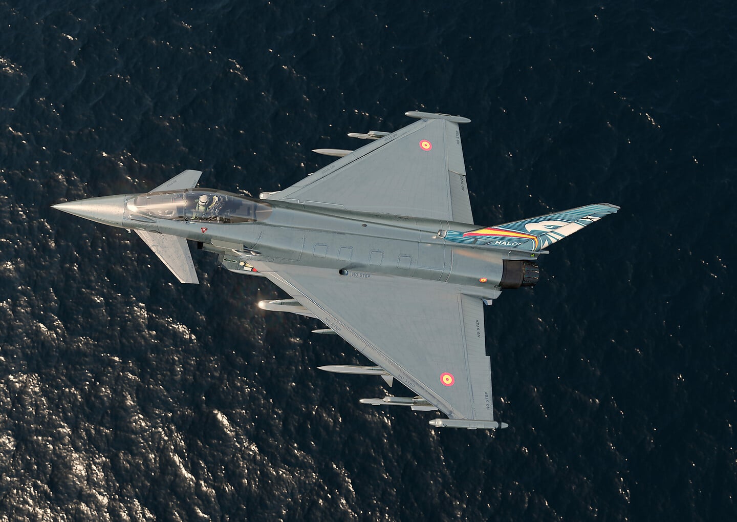 Euro fighter jet