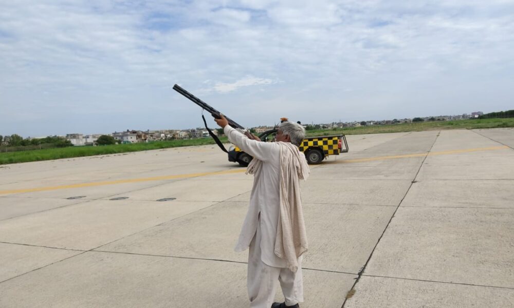 Pakistan depolying shooters at Lahore airport to shoo away birds.