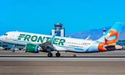 Frontier Airlines giving free flights in exchange for adopting cats