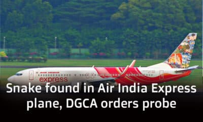 Snake found in Air India Express plane, DGCA orders probe