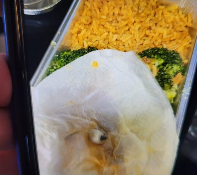 British Airways Passenger Claims She Found a ‘Dental Implant’ in Her Meal On Flight to Dubai