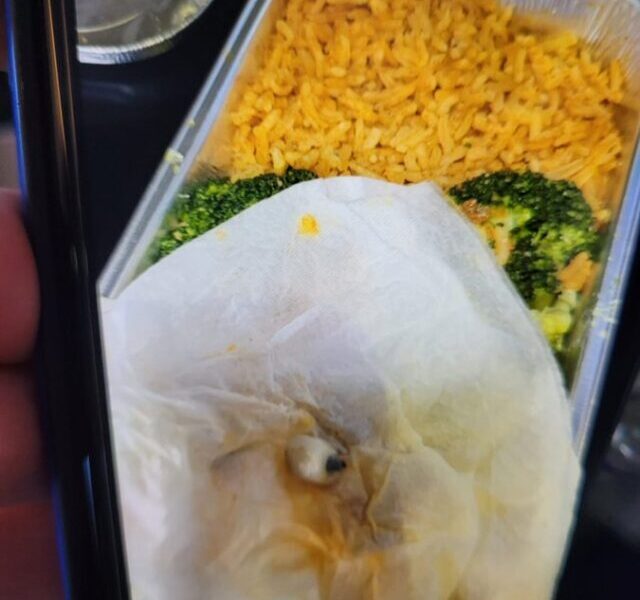 British Airways Passenger Claims She Found a ‘Dental Implant’ in Her Meal On Flight to Dubai