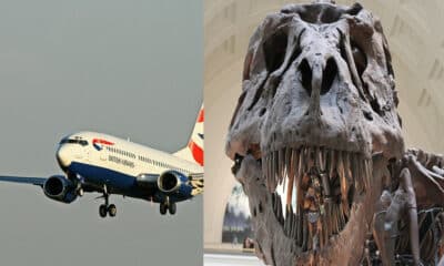 IAG Cargo delivers the world's largest dinosaur skeleton from Argentina to UK