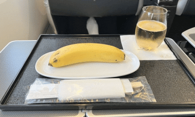 Vegan business class passenger shocked after being served single banana