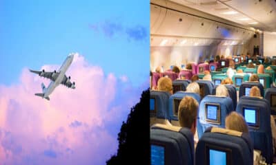 Ultimate Guide to Surviving Long-Haul Flights: Tips for Comfort and Well-Being