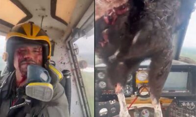 An Enormous bird smashes through windscreen into cockpit covering the pilot in blood in Ecuador