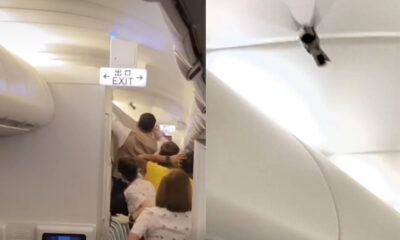 Cathay Pacific flight attendants rushed to catch the bird inside aircraft
