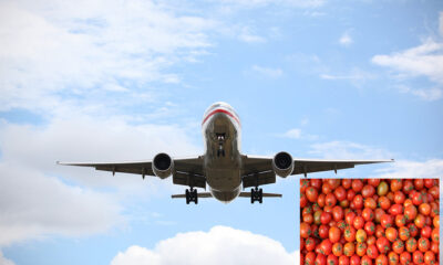 Indian expat in Dubai flies home with 10kg tomatoes in a suitcase