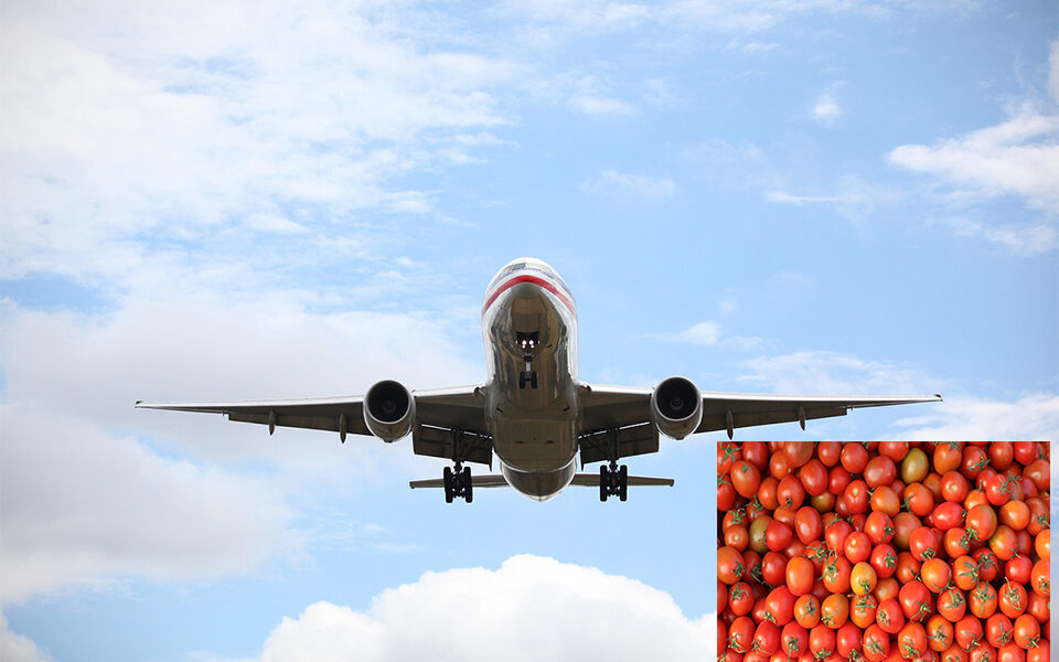 Indian expat in Dubai flies home with 10kg tomatoes in a suitcase