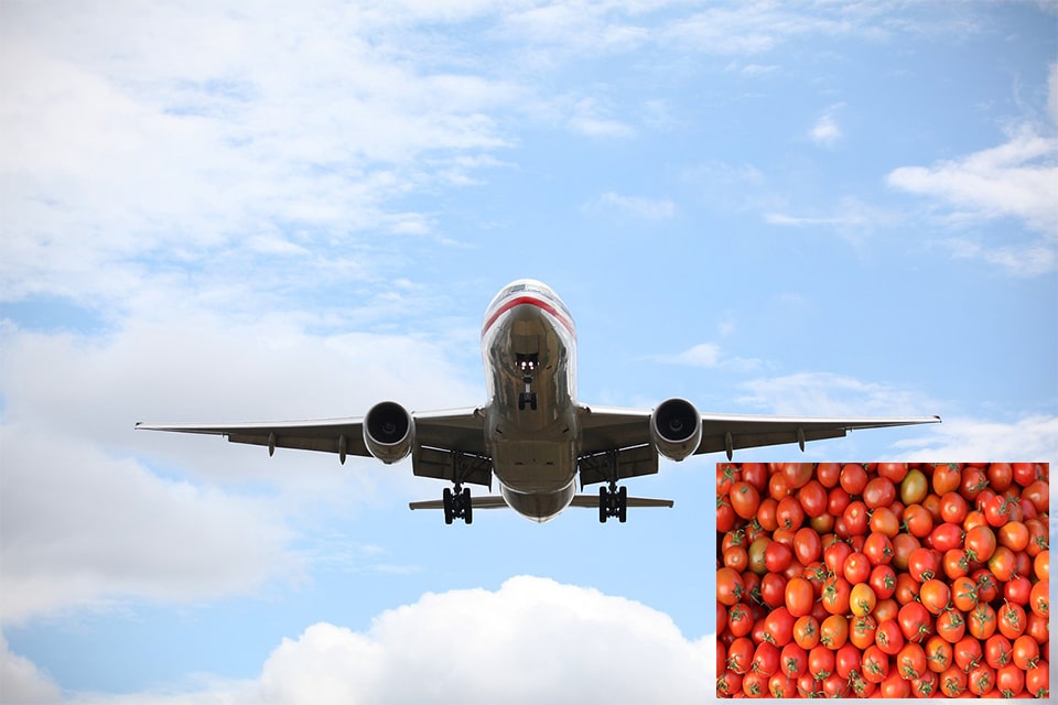 Indian expat in Dubai flies home with 10kg tomatoes in a suitcase
