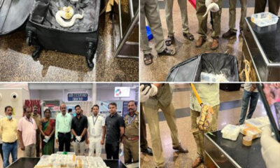 Tiruchirappalli International Airport seized 47 exotic pythons and two lizards from passenger