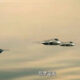 Meet China's 6th-Generation Stealth Fighter jet
