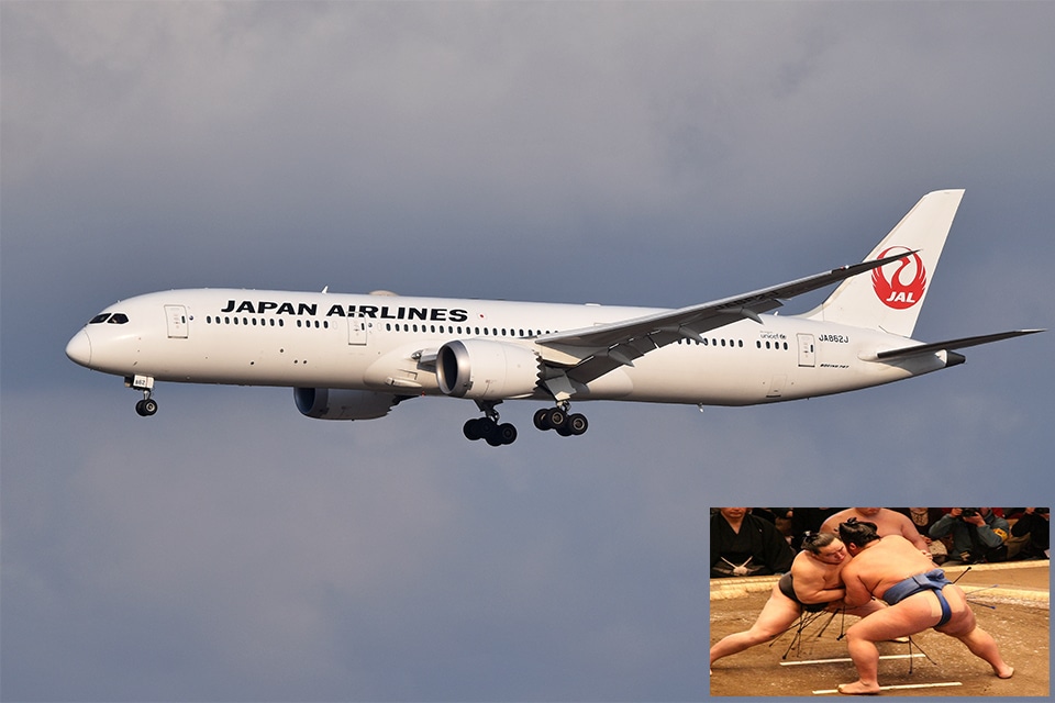 Japan Airlines arranges extra flights for sumo wrestlers due to weight concerns