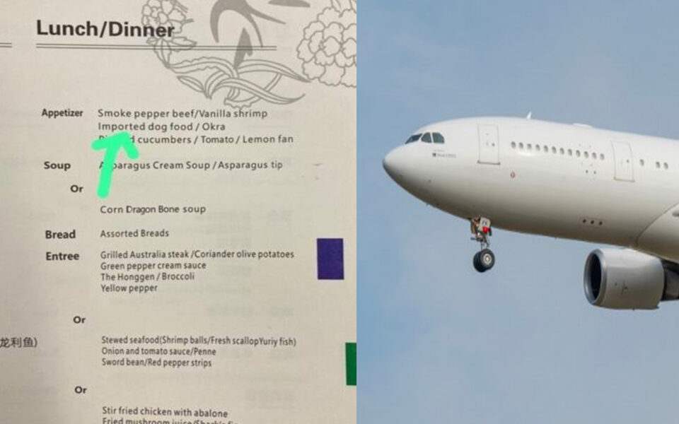 Airline serves 'imported dog food' on business class menu