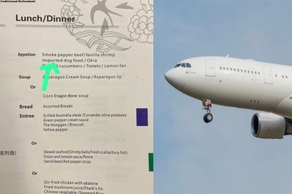 Airline serves 'imported dog food' on business class menu