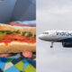 Passenger Finds Worm In Sandwich Served By IndiGo Airline