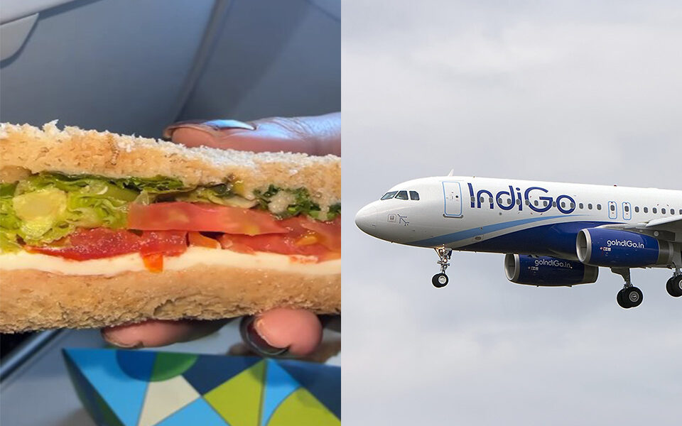 Passenger Finds Worm In Sandwich Served By IndiGo Airline