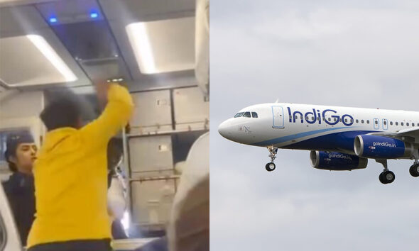Punching IndiGo Pilot Incident: These are Possible Actions Taken by Authorities Against Passenger