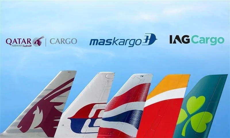 Qatar Airways, IAG, and MASkargo Team Up for Cargo Business